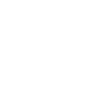 /wp-content/themes/lafis-asesores/assets/images/lafis-anagrama-blanco.png